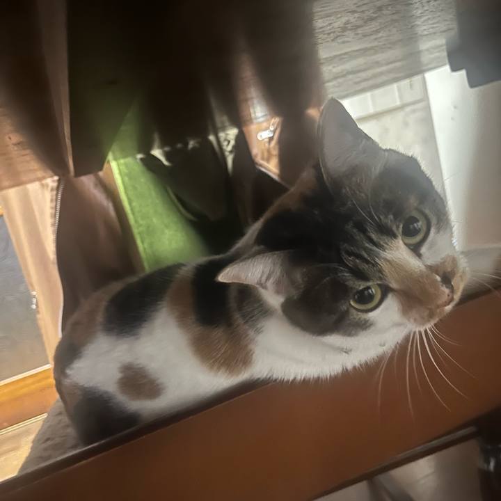 89d785fa 452a 40bd bf62 7dad3b0f5e32 1766997884635