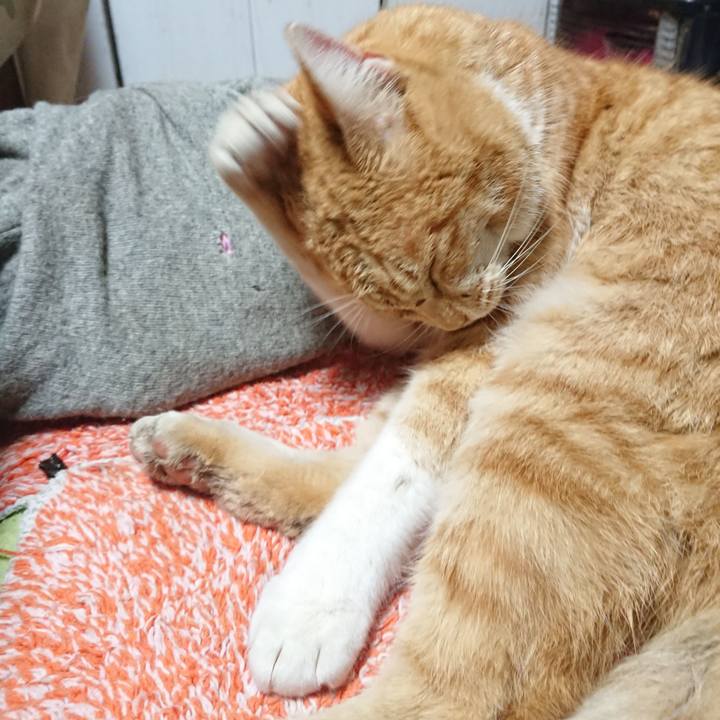 89d78b29 b8a1 4f19 8b48 7f07e4725095 1579825192384