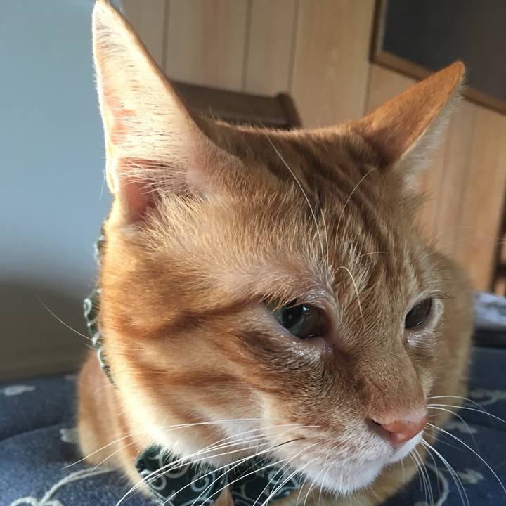 89d7a51d 5d05 4aec 8390 6205fdb941ba 1537738626754