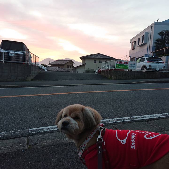 89d7d823 ed11 4984 856c 435c2b8ac648 1615413673171