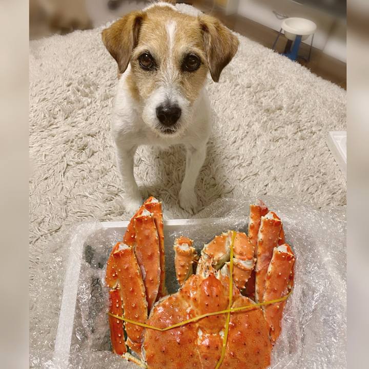 89d7e6e2 df8c 48da 9299 f6f8ebbf4d61 1735653885810