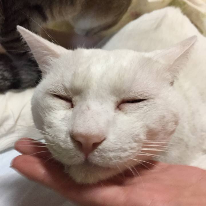 89d7ef89 e42c 4463 9494 7bd1075e9abc 1541884555895