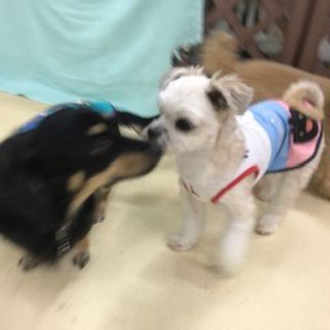 89d80dd1 75a1 4df9 bcb8 ce419c3c5faa 1571398525563