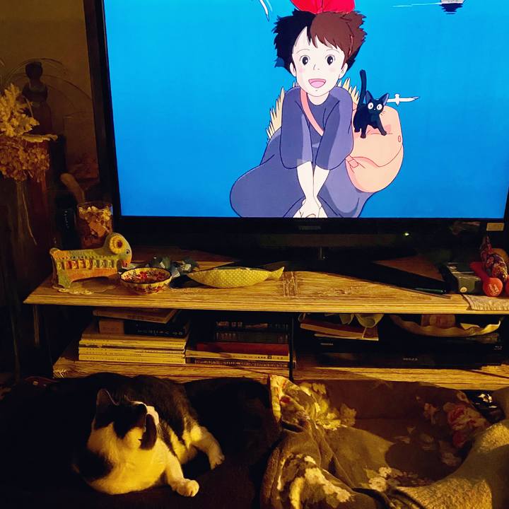 89d80e12 218c 4c0d 9f98 a45ddeeb744e 1585311596370