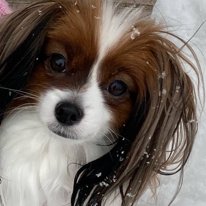 89d82d2a 2d62 4958 864a cbdecb6ee5d0 1645162772016