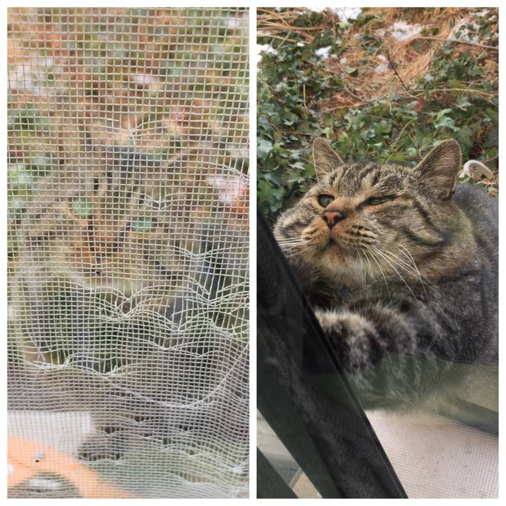 89d8356e d13f 451e b414 ac3f3f0f3d50 1610607889078