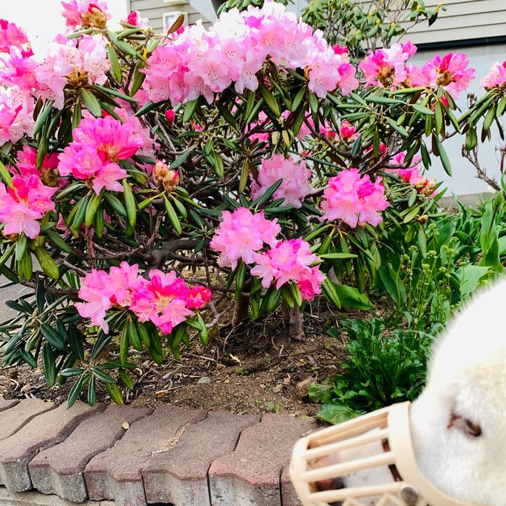 89d83b36 828f 4f64 8bbb 19d0003997e4 1620592270109