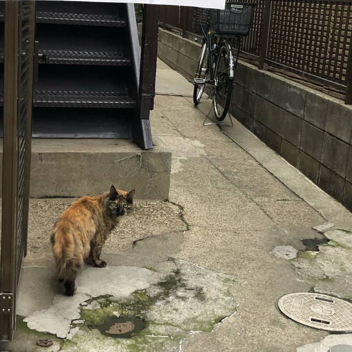 89d851d4 7168 4669 99a3 21d922fe14e7 1572728964112