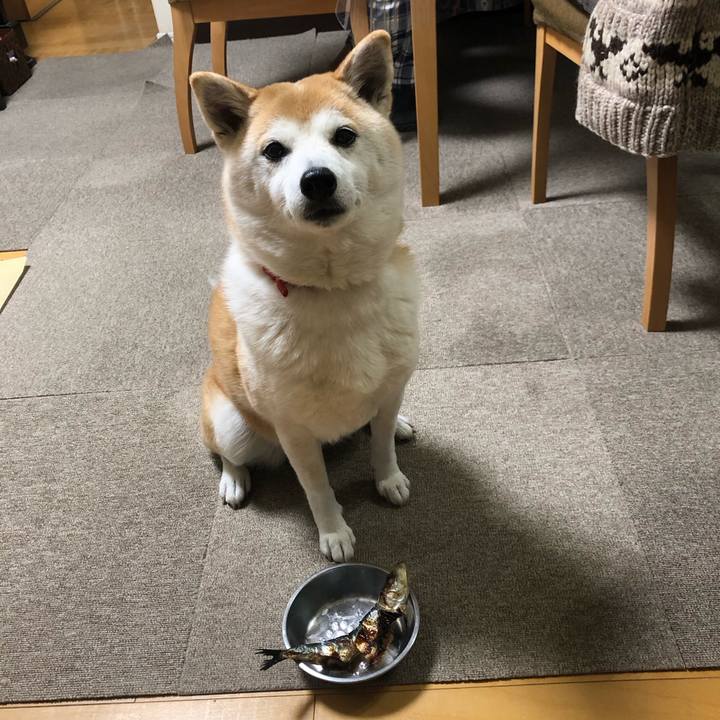 89d85b70 3892 4c41 b95f bb485866e852 1706955988796