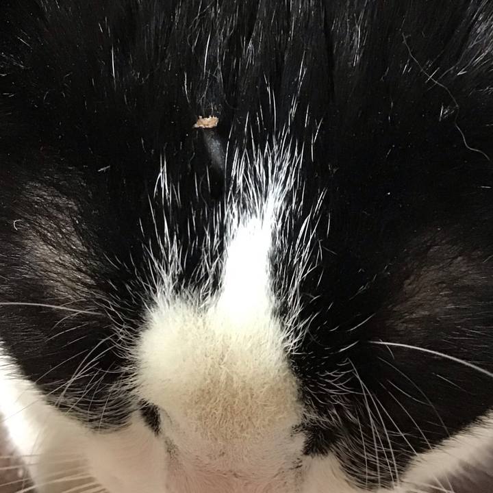 89d87364 d8e0 4ead 83fb 38dd1c6a511f 1715681466791