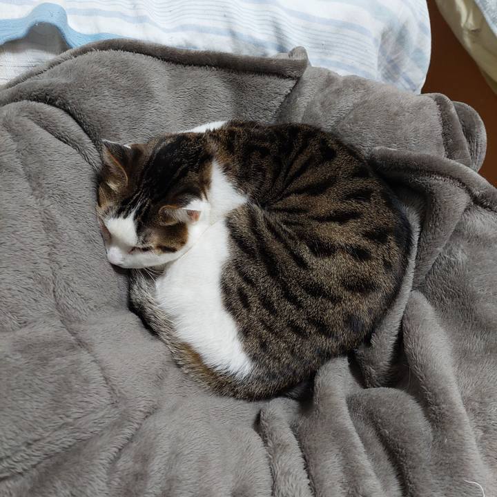 89d8db19 b2e5 4641 a837 a710b92279dd 1644058796321