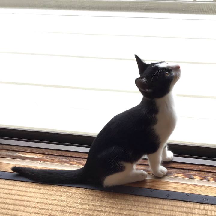 89d8e591 b11b 40fc a9de e127c42bd681 1626322381459