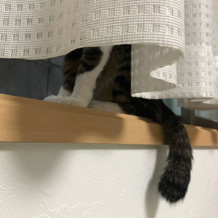 89d90847 8439 4973 9c3e fc56d0e0b597 1535803291704