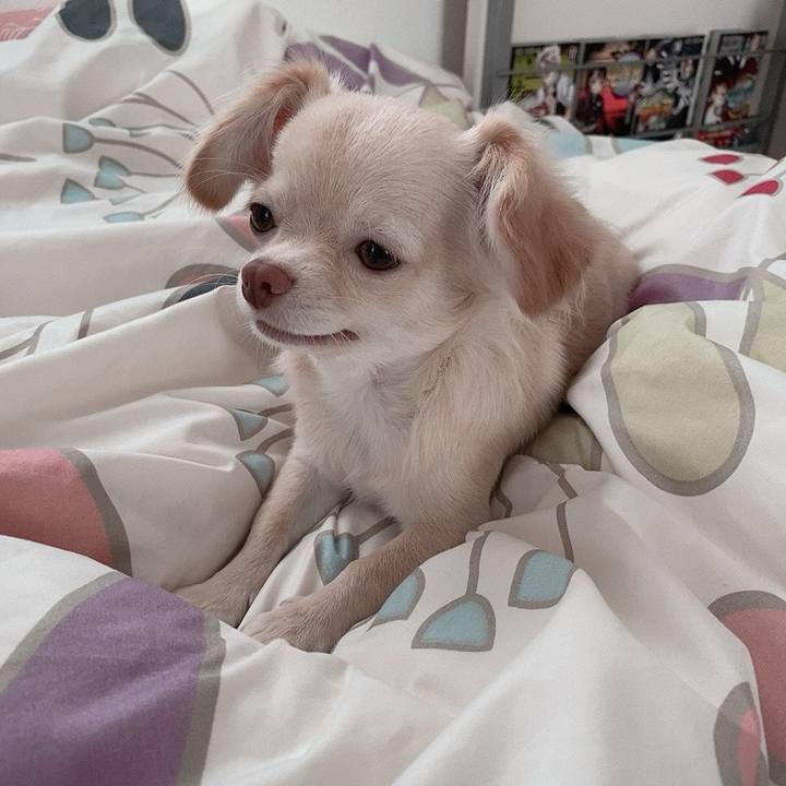 89d91c40 c794 465d 9067 686299a9e190 1596514144578