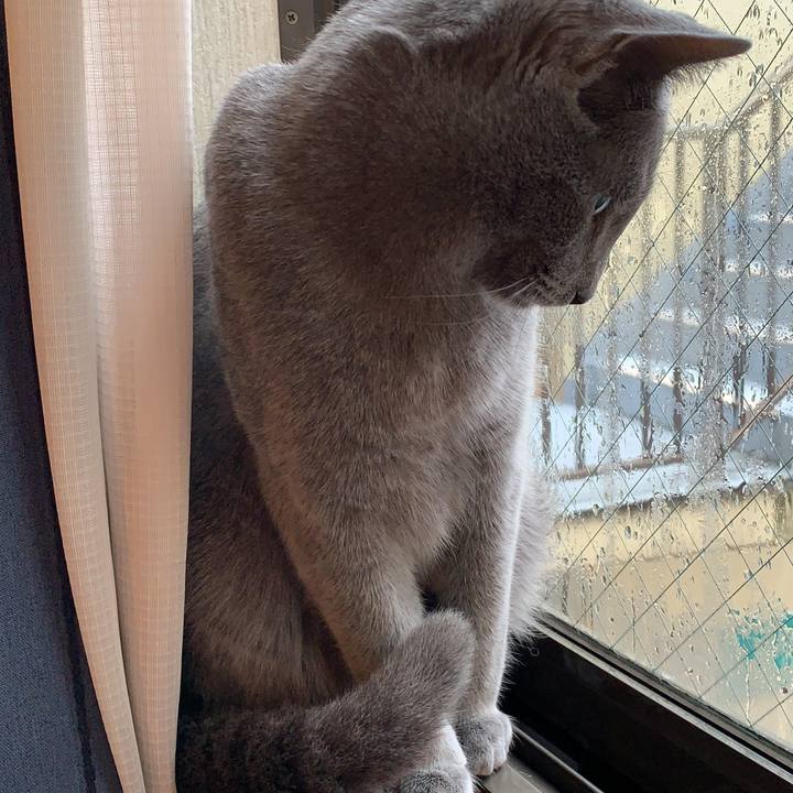 89d92fe2 a852 4799 9701 bf39b52116ca 1585444094687