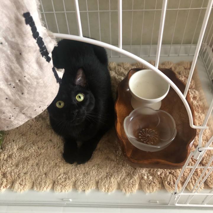 89d942ed bd8d 44fa b7aa ccdb191ba2ce 1590206653959