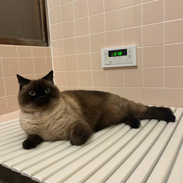 89d9443e 1840 4f64 ad32 a6fe584ed144 1643896943106