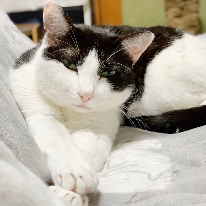 89d94f32 d12b 4177 af8b dd5765cde511 1553046716202