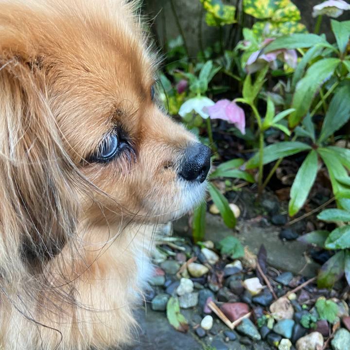 89d98848 62dc 4520 a859 45f0f3a7ae83 1647207244589