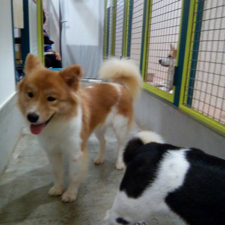 89d98a4b 6dc2 4fe4 9a9b 2ae234b0addb 1535768860342