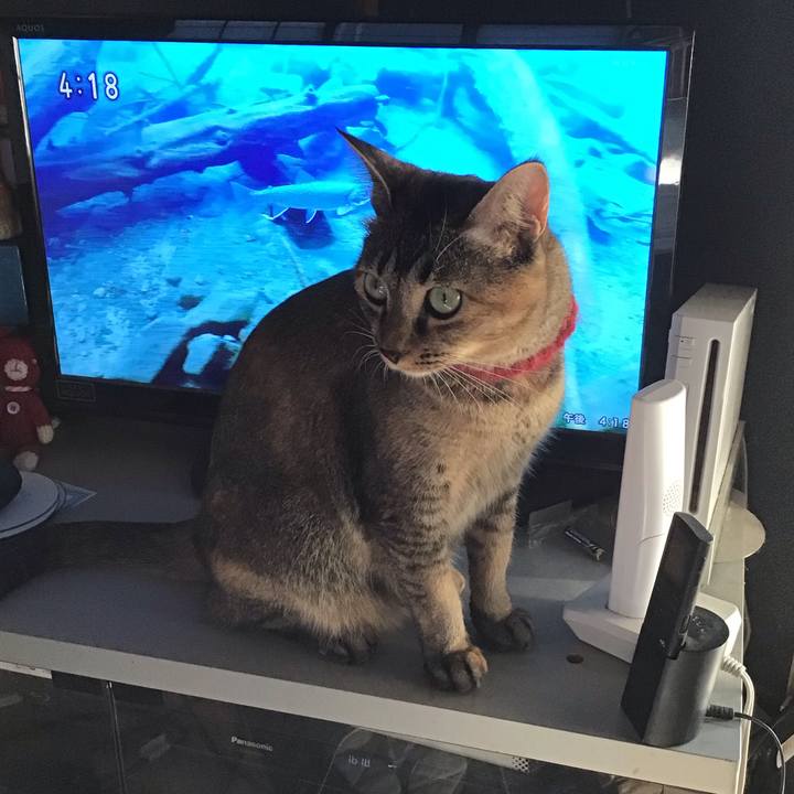 89d99a51 e149 4f9d 81b2 40880c8b78c0 1601883468145