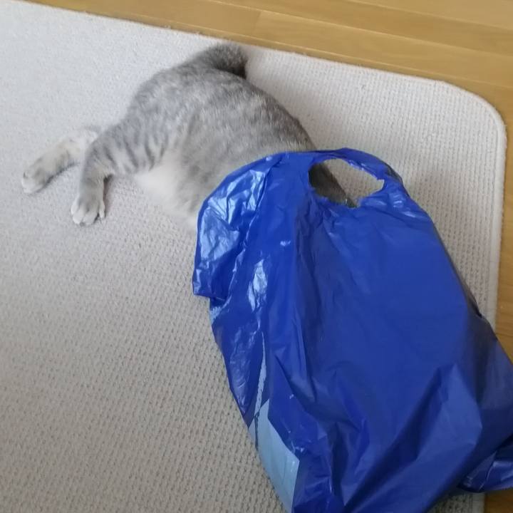 89d99c1a 64ed 467b 870c e419958bb1fb 1546658555035