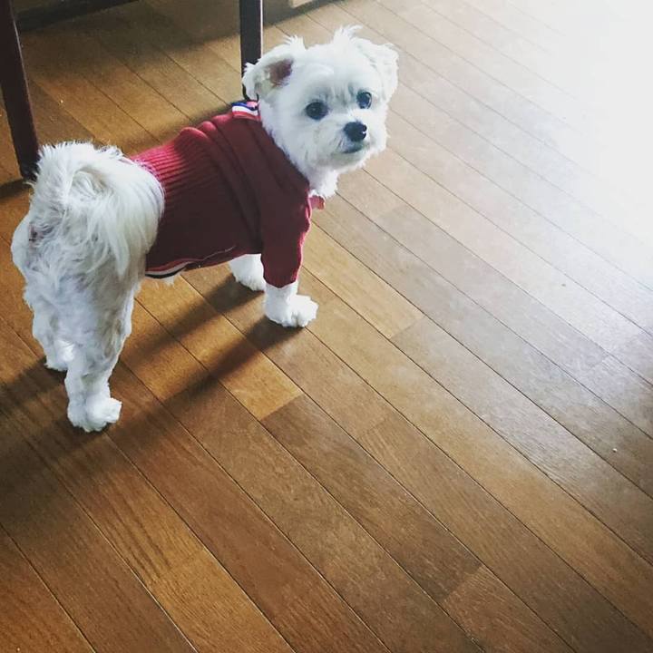 89d9c665 d846 410b 8549 098488eb3e59 1634181202226