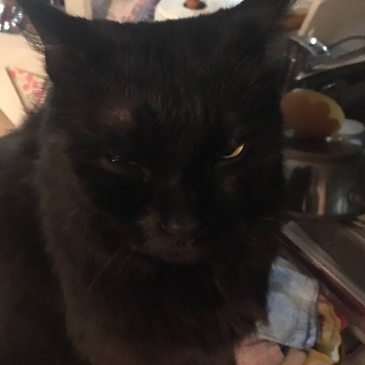 89d9e5e3 5f2c 42ed b009 a2aac82ee904 1518326837970