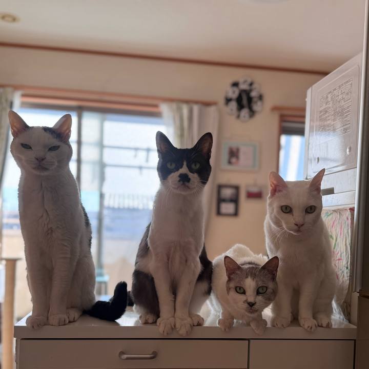 89da25b5 76bd 4420 ae7c edd0424d1ac7 1767871494496