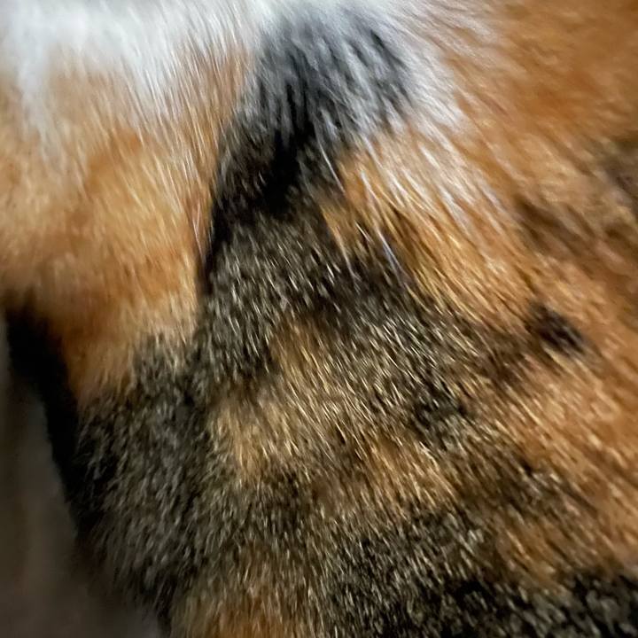 89da3dfe 306e 4ba6 8c23 bf660ec44021 1617823705526