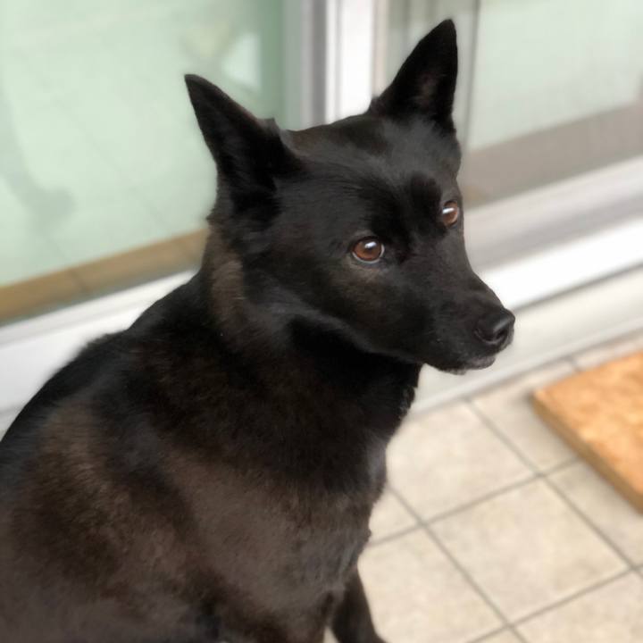 89da5d0d 131a 48d4 9a07 3b4d2ef62db7 1626449577485