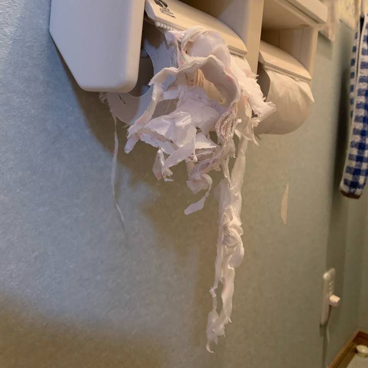 89da6a36 d10f 4945 8624 88e5104b85a3 1593015632104