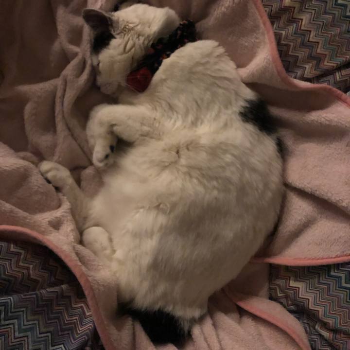 89da82f6 99ef 4b45 917f 18d56533062f 1553951715339