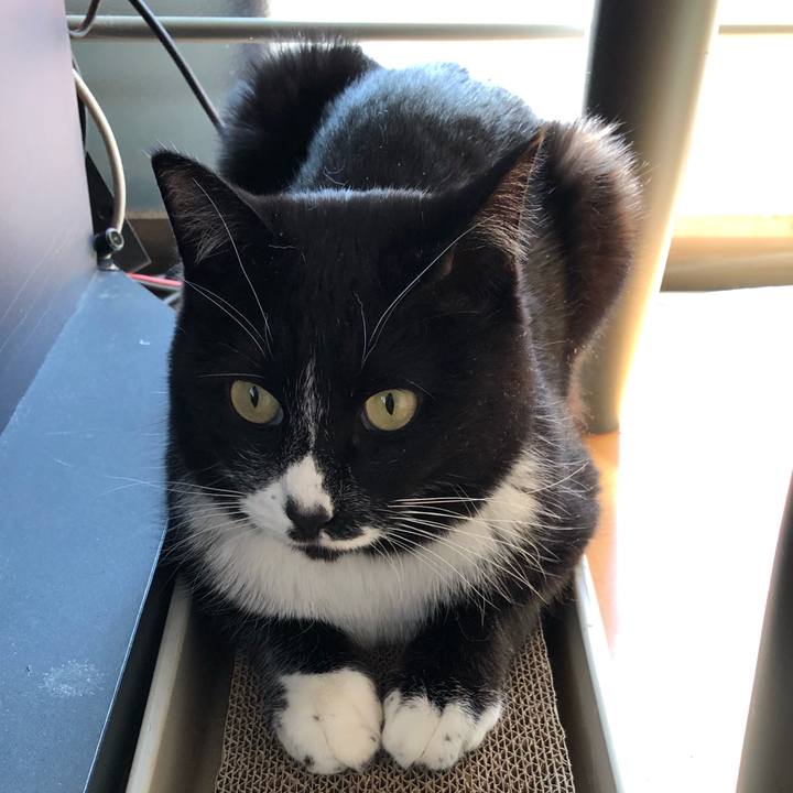 89da88f2 8339 4ecf b3d4 4f65115e487c 1613447186547