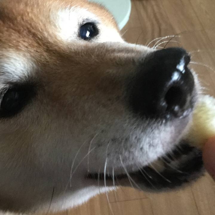 89daa762 3e71 4ea0 be05 ef6b47ade7d2 1591657080849