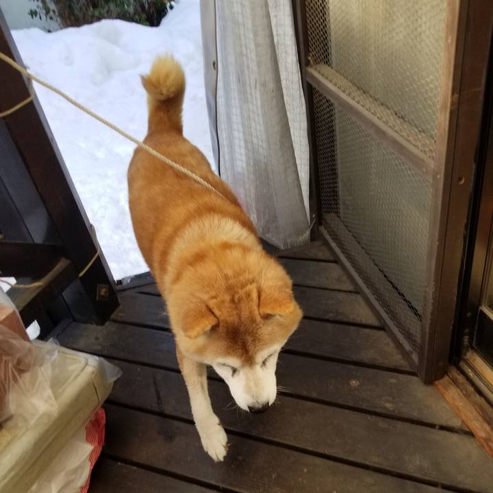 89daca68 a9e3 4126 ba63 22e1741e32eb 1737853596182