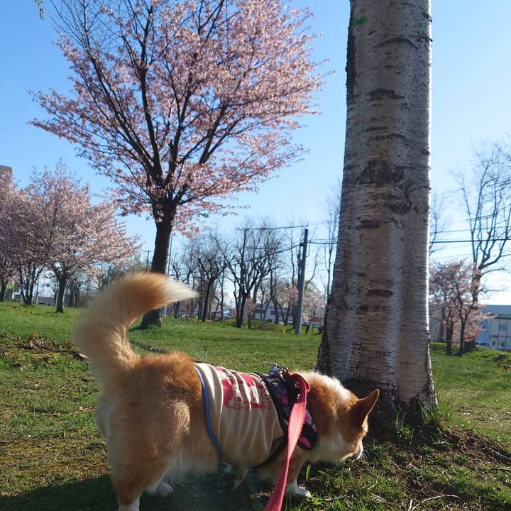 89dae7fd 303f 4383 a206 4ee29925b5da 1776901541161