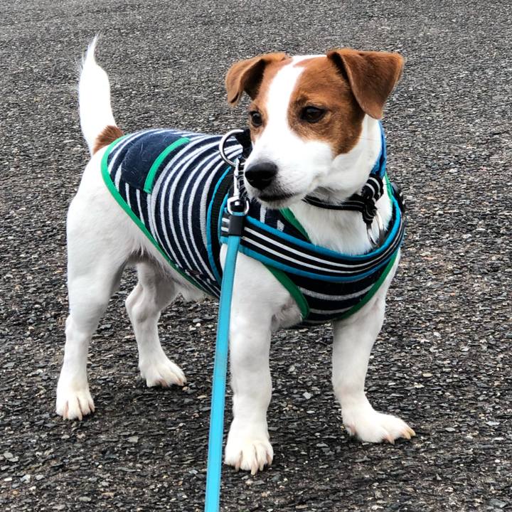 89dafdb9 c7b9 4d7b ad12 cac706bf575a 1648026056360