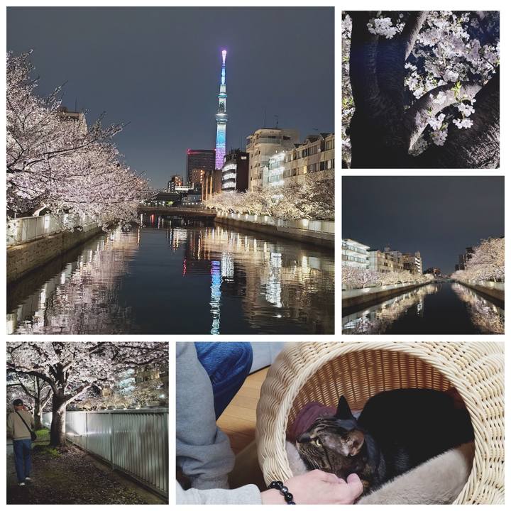 89db09dd feba 41ff bf3f a09730d2585c 1775384898517