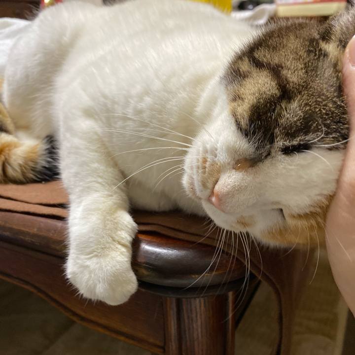 89db0c1f fae3 489a 9fee 866563c04173 1576395822977