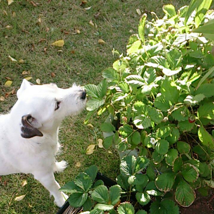 89db3a16 0bd9 4bce 9ffd 37b25c5d0801 1511130170183