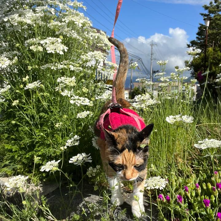 89db8959 07d8 4950 a61f f6d20dffa491 1684912863871