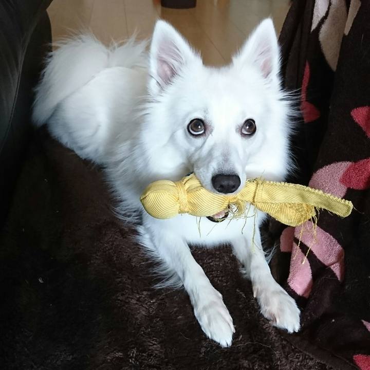 89db969a 6456 4ea1 8f7e a4cf0a5513c5 1510892551993