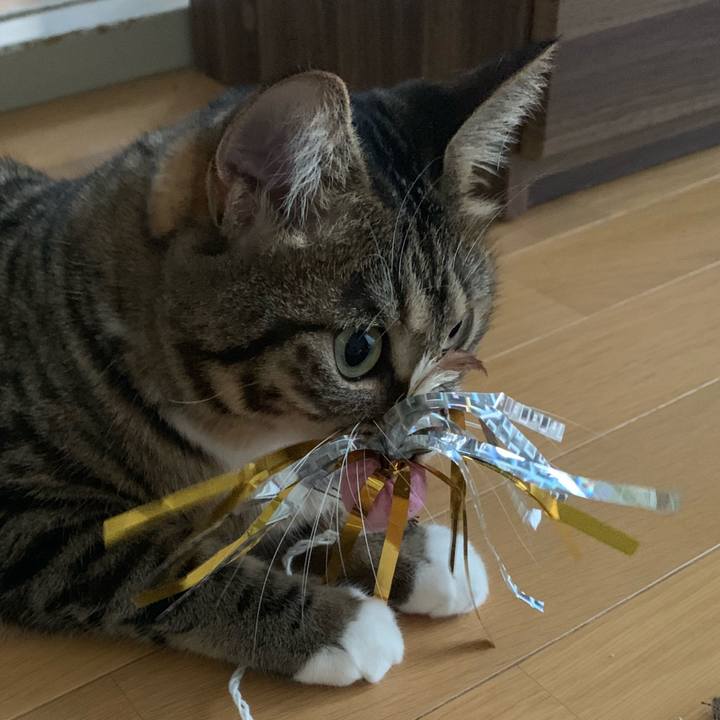 89dbf328 58c0 433f 85c7 1b6f6cddabae 1566441541072