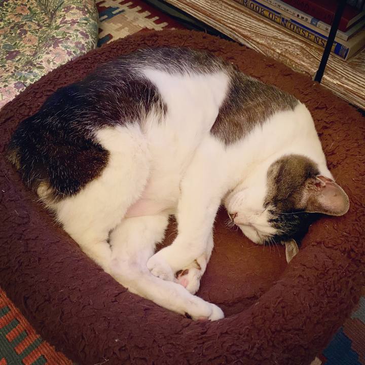 89dc044f 1305 4996 8dc1 094465b90123 1594648299362