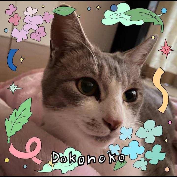 89dc107a ccce 4e14 98b8 58683c8ab81d 1717673992972