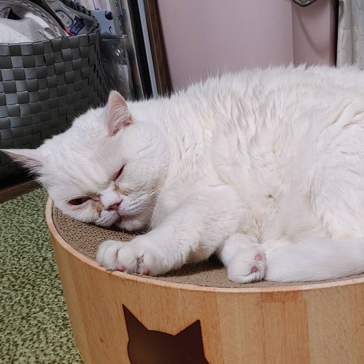 89dc29f3 9a66 4140 928d 268eb8ef899b 1707572085926