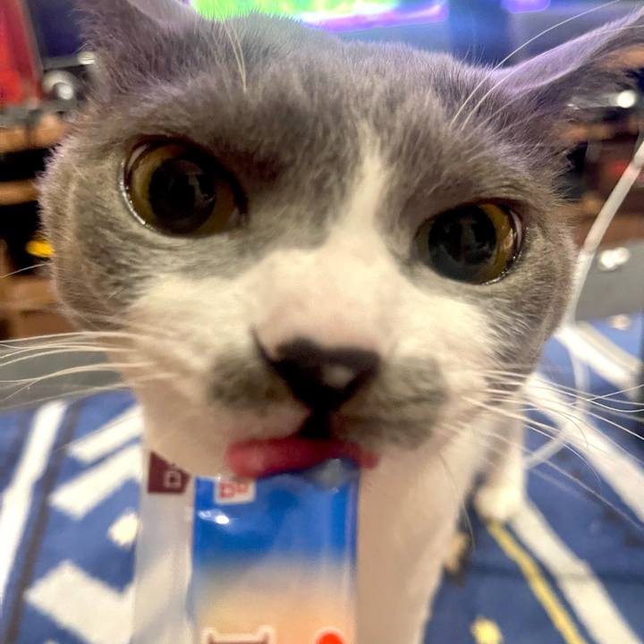 89dc2aff 87fe 4009 9290 9059c28c61b6 1667466121585