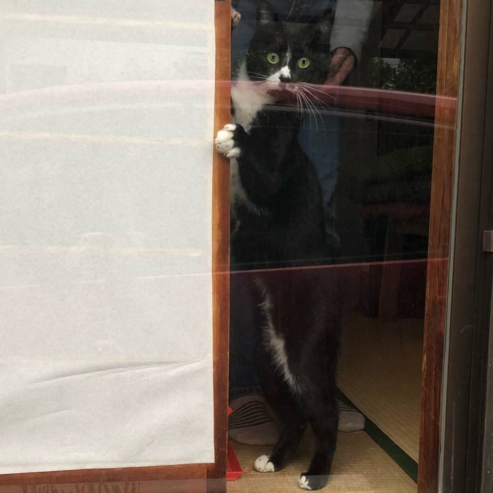 89dc51b3 973c 498d a761 dbb0efe7fded 1523076377561