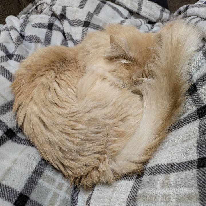 89dc72a6 45b2 4baa ac5c 15d133109f76 1772288124109